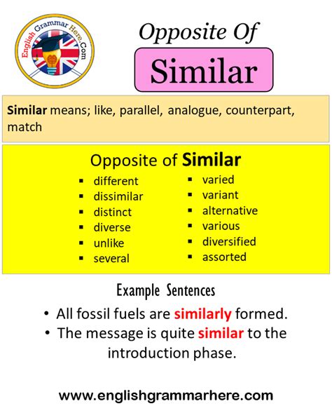 BUBBLE Synonyms: 29 Similar and Opposite Words